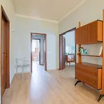 Il Pino Marittimo Viareggio