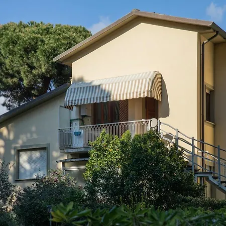 Il Pino Marittimo *