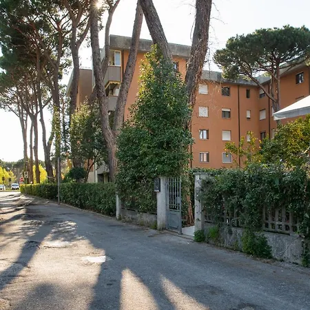 Il Pino Marittimo *