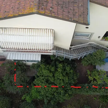 Il Pino Marittimo * Viareggio